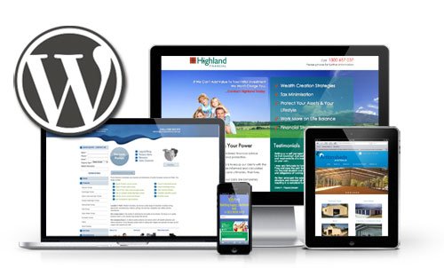wordpress website