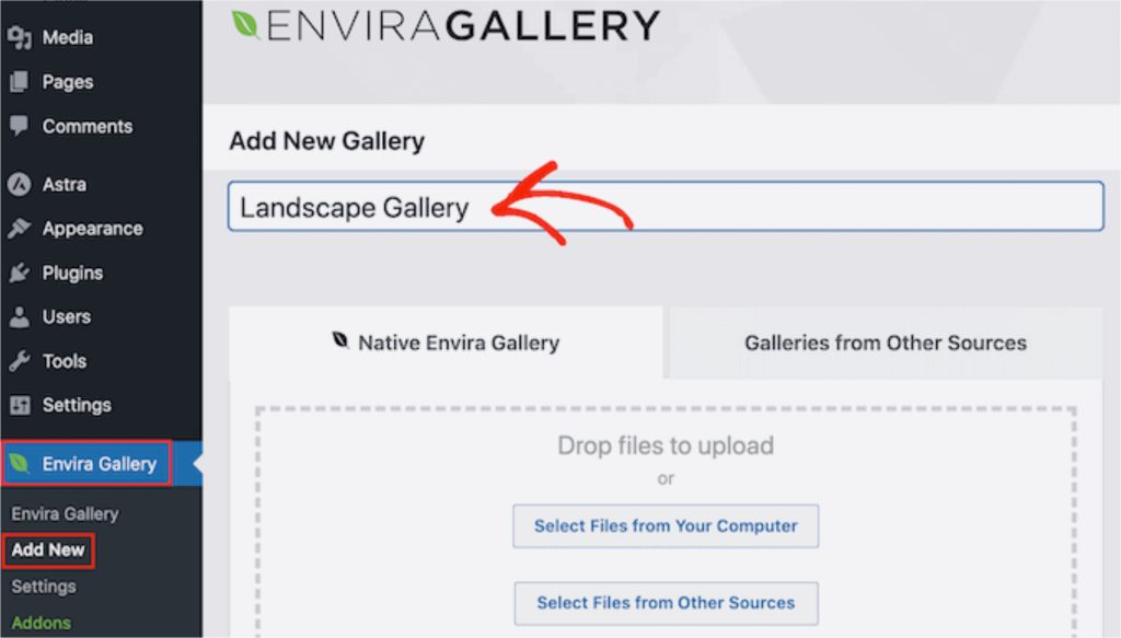 Envira Gallery Dashboard